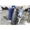 Image 1 : 2 HEAVY PUNCHING BAGS & 2 BLUE WEIGHT BENCHES
