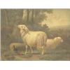 Image 1 : Jacob Van Dieghem (19th century) Dutch, oil on wooden panel, sheep and a hen on a hillside, signe...