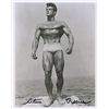 Image 1 : Steve Reeves
