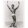 Image 1 : Steve Reeves