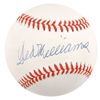Image 1 : Ted Williams