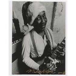Peter Amft: Muddy Waters