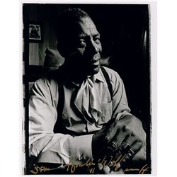 Peter Amft: Howlin’  Wolf