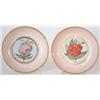 Image 1 : A pair of botanical porcelain saucers, Worces...