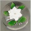 Image 1 : A Baccarat miniature white double clematis we...