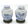 Image 1 : Two Kang Hsi blue and white oviform jars and...