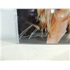 Image 2 : 8X10 TV STAR PHOTO AUTOGRAPHED TARA REID COA