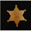 Old West US Marshall Badge