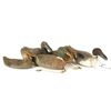 Image 2 : Collection of (5) Vintage Canvas Duck Decoys