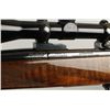 Image 4 : Weatherby Mdl Mark V Varmintmaster SN: S02834