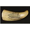 Image 1 : Scrimshaw Whale Tooth