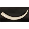 Image 2 : Large Inlaid Bone Faux Elephant Tusk