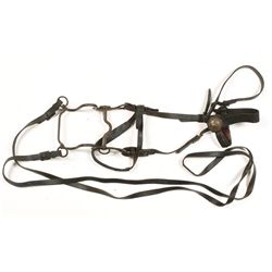Dragoon Head Stall with Bit