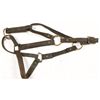 Image 1 : Indian Wars Halter