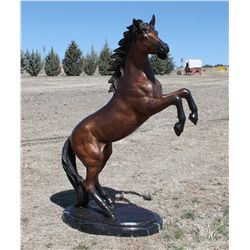 Beautiful Rearing Horse Bronze