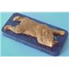 Image 1 : A late 19th century Russian gilt metal figure of a sprawling recumbent bear on lapis lazuli recta...