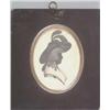 Image 1 : 18th century Dutch School Silhouette painted on card Unknown lady wearing a large plumed hat circ...