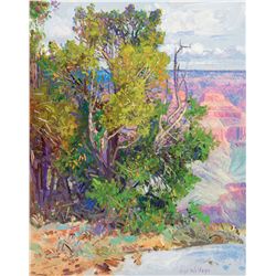 First Glimpse by Walters, Curt