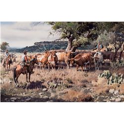 Longhorn in the Hill Country by Boren, James