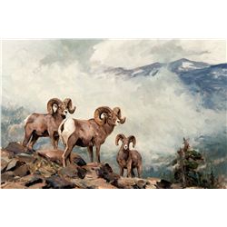 Rocky Mountain Bighorn by Carlson, Ken