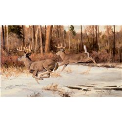 Winter Whitetails by Carlson, Ken