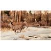 Image 1 : Winter Whitetails by Carlson, Ken