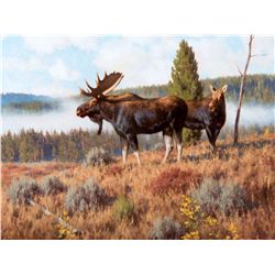 Morning Fog by Smith, Tucker