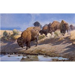 Water of Life by Metz, Dan