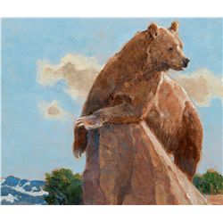 A Look Around by Kuhn, Bob