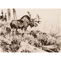 Browsing by Rungius, Carl