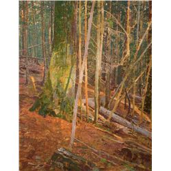 Fragment of Light by Carlson, George