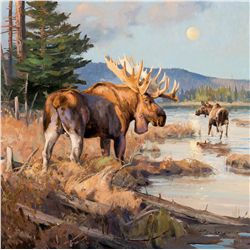 In the Heat of the Night by Frazier, Luke