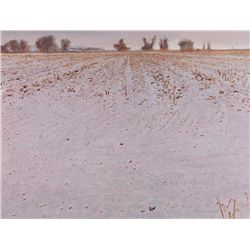 Stubble (Field Series) by Smith, Gary Ernest