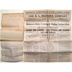 Diamondfield mining - a lot of great information from this short-lived mining camp