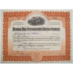 Mineral Hill Consolidated Mining Company