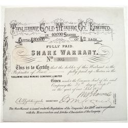 Tuolumne Gold Mining Co. Limited 2 share warrant stock certificate
