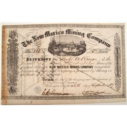 The New Mexico Mining Company