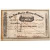 Image 1 : The New Mexico Mining Company