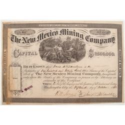 The New Mexico Mining Company