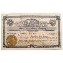 Buena Vista Mining Company stock