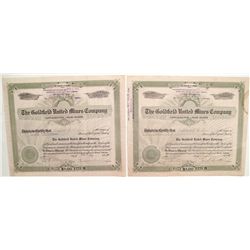 The Goldfield United Mines Company