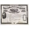 Image 1 : Silverthorn Lead Mining and Smelting Company stock certificate