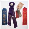 Image 1 : 1917 and 1920 State Fair Ribbons