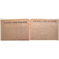 1915 Walker Lake Bulletin