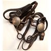 Image 1 : Bit with leather straps and silver rosettes