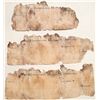 Image 1 : Three Greenwater check fragments