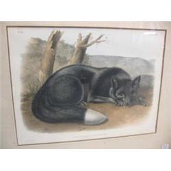 After John James Audubon (American 1785-1851)...