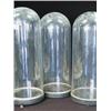 Image 1 : Three glass domes (tallest 57cm including base), streamlined Est. 50/100...