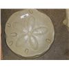 Image 1 : CONCRETE - PLAQUE - SAND DOLLAR