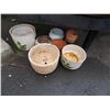 Image 1 : PLANT POTS UNDER BENCH